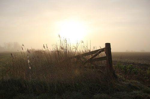 Texel Landschap 023