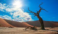 Skelet van een boom in de Deadvlei, Namibië van Rietje Bulthuis thumbnail