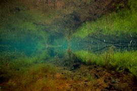 Veluvian creek with iron springs by Matthijs de Vos