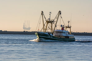 Fischereifahrzeug auf dem Weg nach IJmuiden zwischen den Piers
