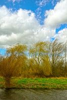 Trees like puppets in the wind at Maarsseveense Plassen
