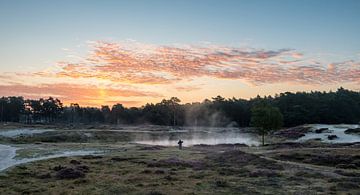 magical sunrise at the forest pond on Heidestein estate by Peter Haastrecht, van