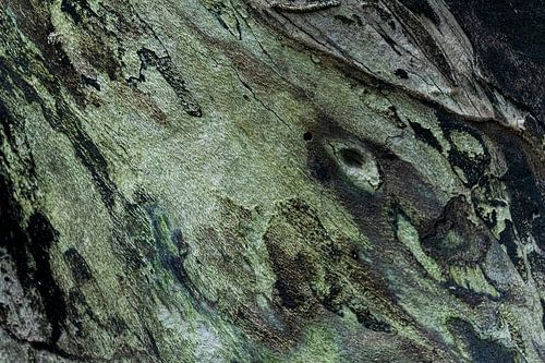 Le mauvais œil sur D. Henriquez