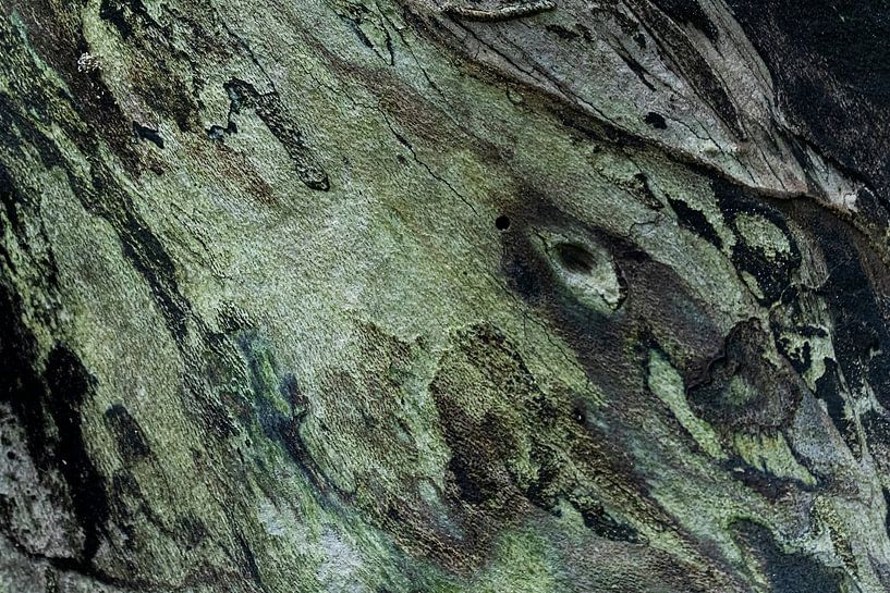 Der böse Blick von D. Henriquez