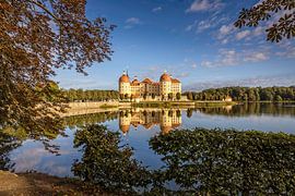 Schloss Moritzburg (Sachsen)
