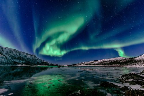 Aurore polaire dans le ciel nocturne du nord de la Norvège sur Sjoerd van der Wal Photographie
