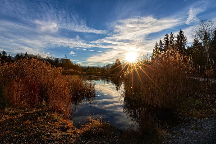 Autumn in the Murnauer Moos by Teresa Bauer
