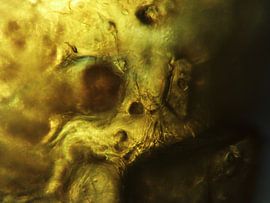 Bell pepper chips under microscope by Wijco van Zoelen