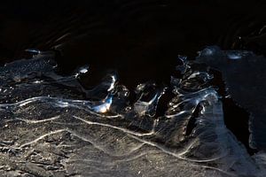 Ice world (1) von Mark Scheper