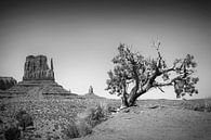 MONUMENT VALLEY West Mid-Butte zwart - wit van Melanie Viola thumbnail