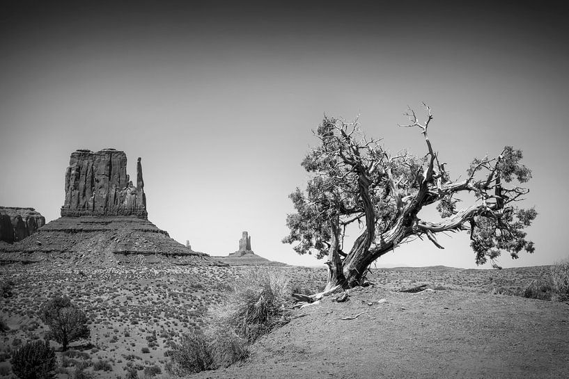 MONUMENT VALLEY West Mitten Butte schwarz-weiß von Melanie Viola