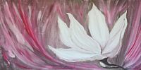 Witte magnolia