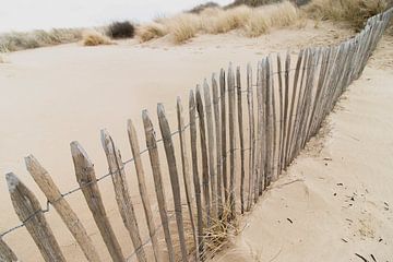 Duinen in het Westduinpark in Scheveningen van Anne Zwagers