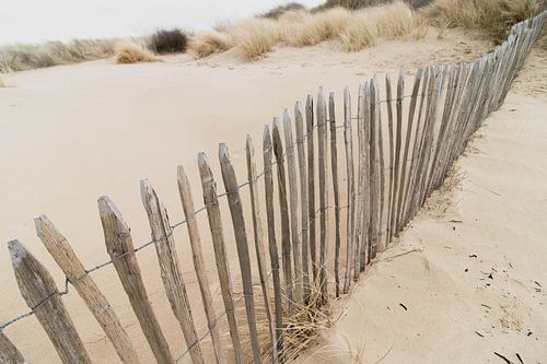 Dunes in the Westduinpark in Scheveningen