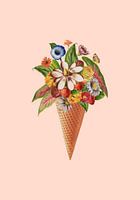 Glace rose botanique