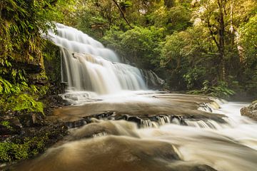 Parakaunui Falls, Nieuw-Zeeland van Markus Lange