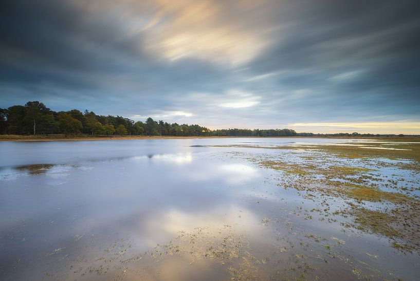 National Park Dwingelderveld (Netherlands) by Marcel Kerdijk