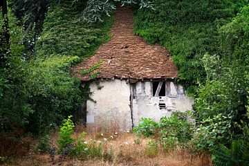 Verfallenes und verlassenes Hobbit-ähnliches Haus im Wald von Peter de Kievith Fotografie