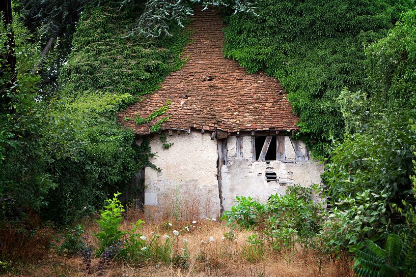 Dilapidated and abandoned Hobbit-like house in the woods by Peter de Kievith Fotografie