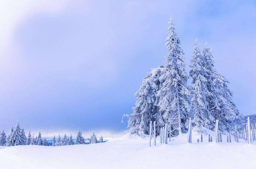 La neige norvégienne au service de la beauté par Adelheid Smitt