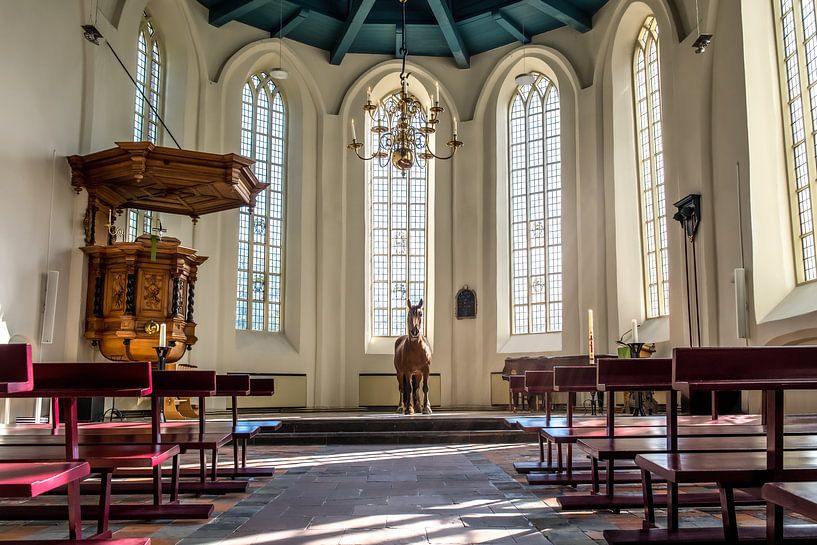 Let your light shine (Matthew 5:16) van Eilandkarakters Ameland