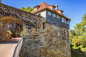 BADE-WURTEMBERG : ESSLINGEN AM NECKAR sur Michael Nägele