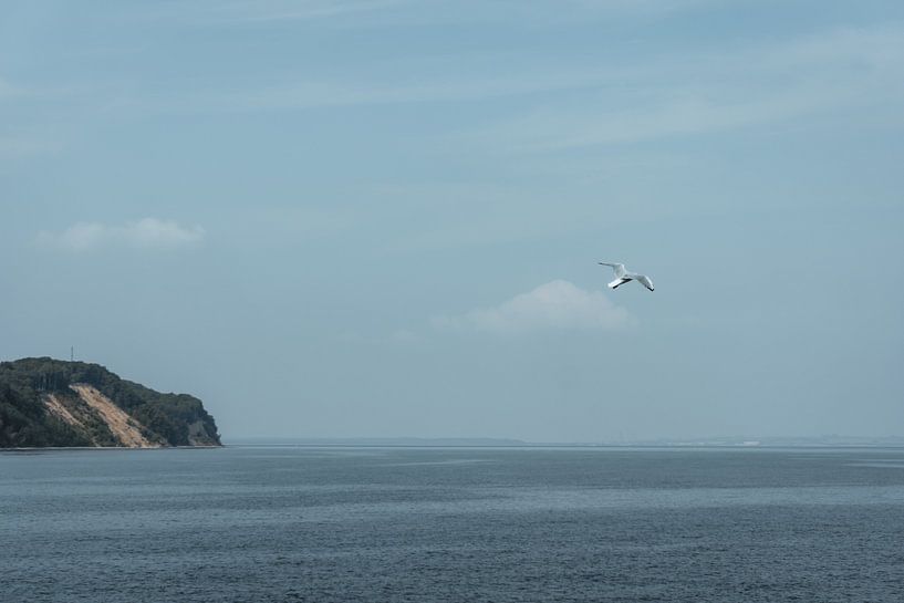 Freedom by Lisa Zet