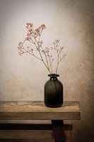 Still life gypsum in a vase