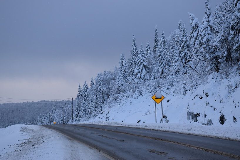A country road in winter by Claude Laprise