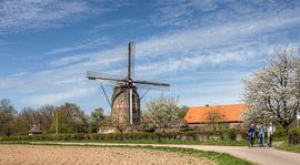 De Torenmolen van Gronsveld tijdens de bloesem von John Kreukniet