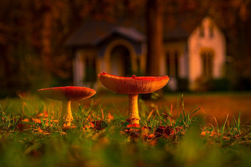 tiny houses by peterheinspictures