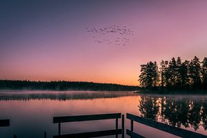 Ein früher Morgen am Tiken See 01