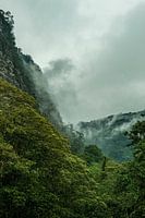 Colombian jungle mountains in fog in portrait mode