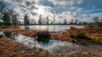 Water Aekingerzand Kale Duinen nabij Appelscha van R Smallenbroek
