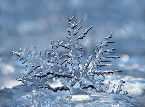 IJs-Kristal in pastelblauw