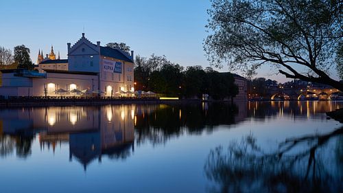 The Shooting Gallery