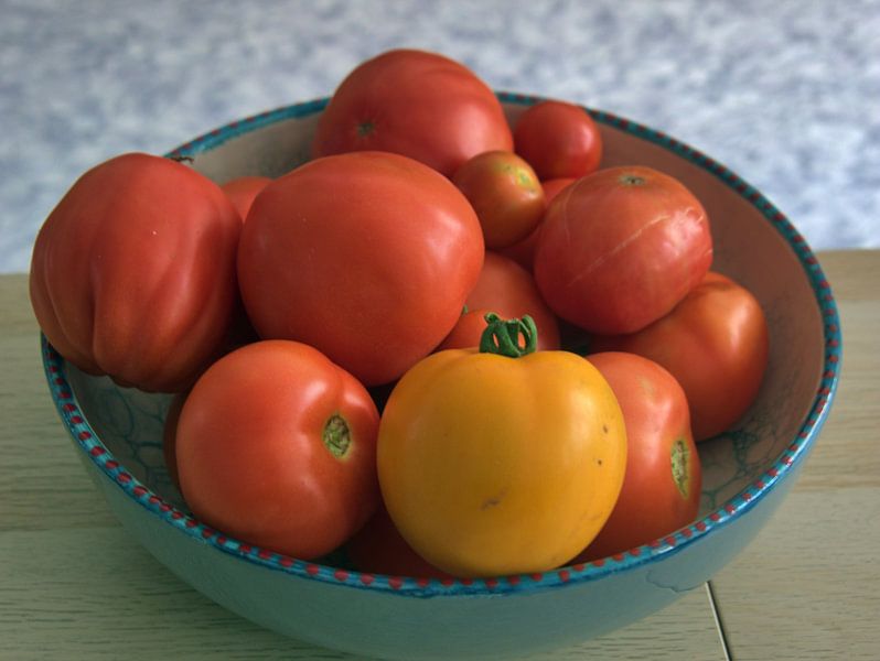 Récolte de tomates en août par Edgar Schermaul