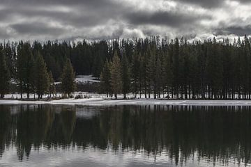 Bomen weerspiegelen in het meer | Yellowstone National Park | Amerika van Kimberley Helmendag