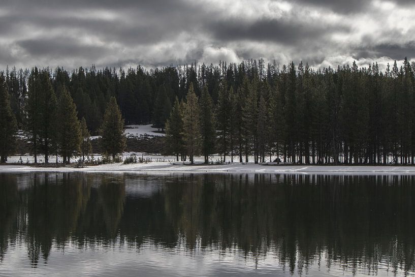Trees reflecting in the lake | Yellowstone National Park | USA by Kimberley Helmendag