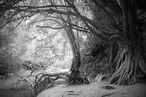 Vredig stilleven in tuin in Zuid Spanje