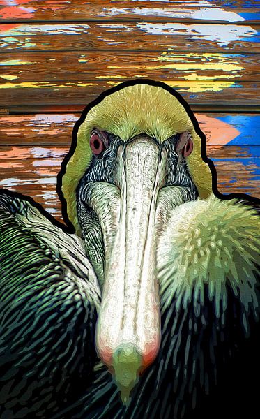 Pelican by Cor Woudstra
