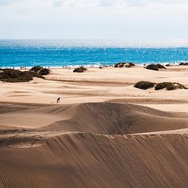 Dunes près de Maspalomas sur Nick van Dijk