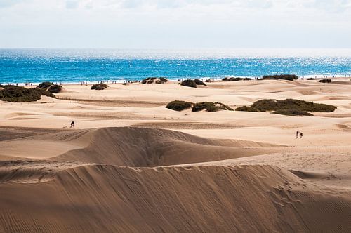 Duinen bij Maspalomas