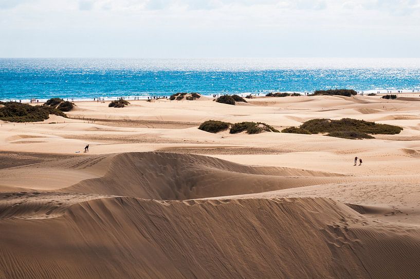 Dunes near Maspalomas by Nick van Dijk