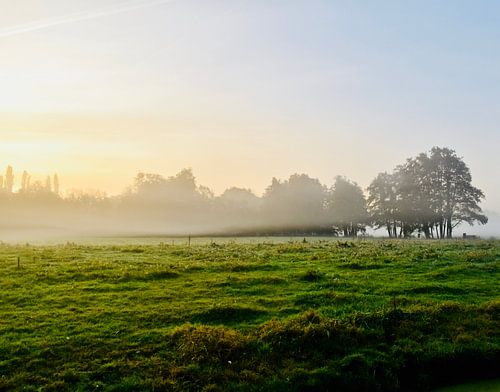 Natuurschoon in de mist