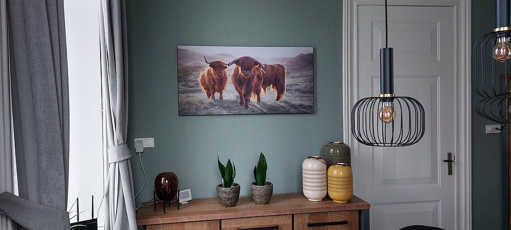 Highlanders écossais par Karel Ton