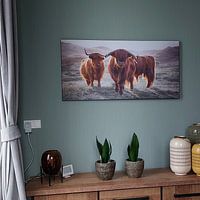Klantfoto: Schotse Hooglanders van Karel Ton, als art frame