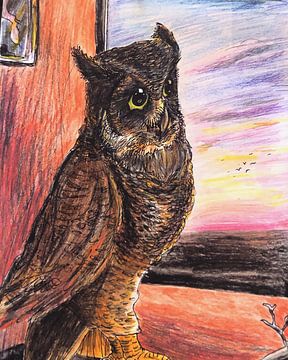 Owl and the sunset by Michael de Boer