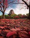 Autumn in Hiroshima van Niels Tichelaar thumbnail