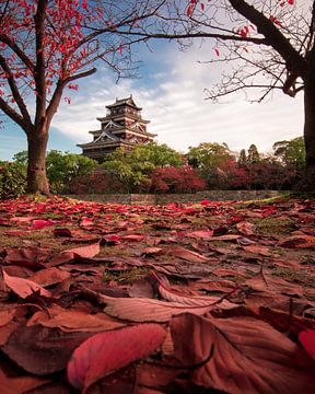 Autumn in Hiroshima van Niels Tichelaar